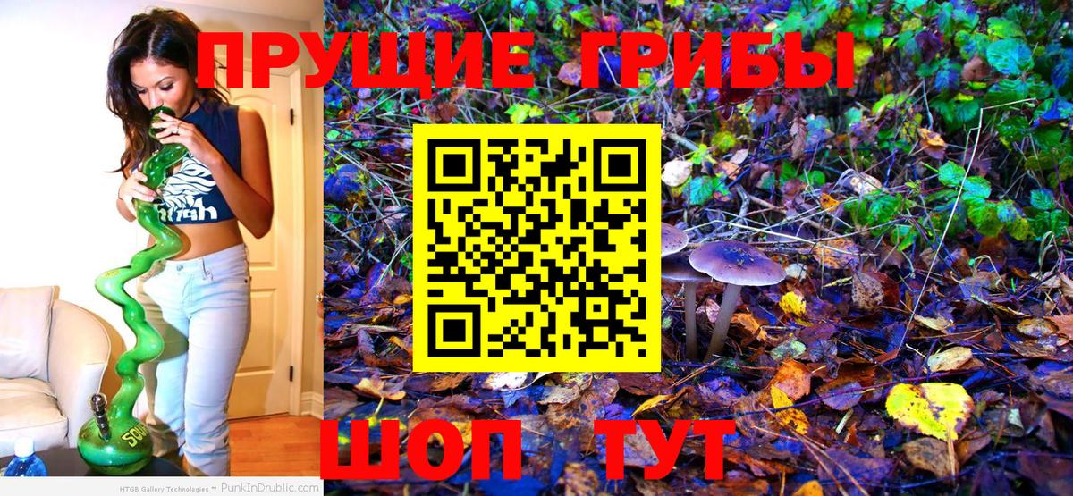 Шелехов  Галлюциногенные грибы Cubensis  Вход с VPN 